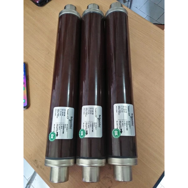 Cầu chì ống trung thế 100A 24kV Schneider