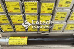 Cầu Chì Ống 24kV Siba 6.3A