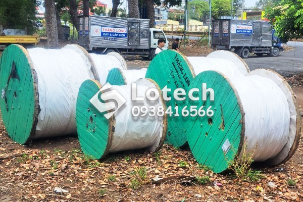 Cung Cấp Dây Cáp Điện Thăng Long Giá Tốt Cho Dự Án