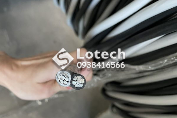 Cáp Duplex Thăng Long Lõi Đồng Du TLC