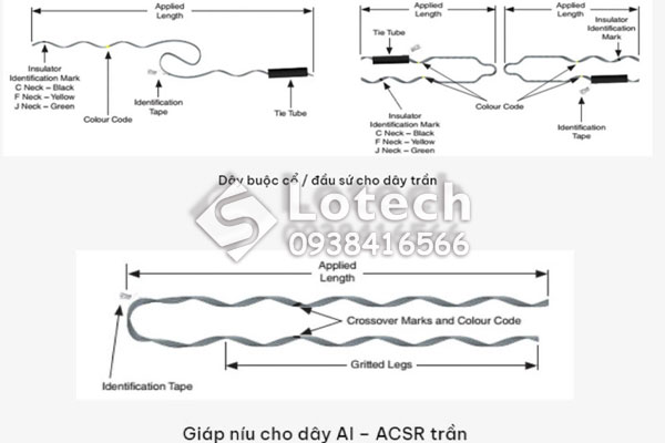 cac-loai-day-buoc-dinh-hinh-co-su-giap-niu-day-tran Các loại dây buộc định hình cổ sứ - giáp níu dây trần