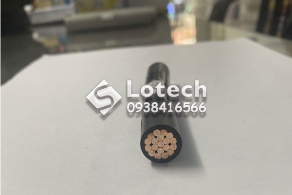 cap-dien-luc-cv-thang-long Cáp điện lực CV Thăng Long