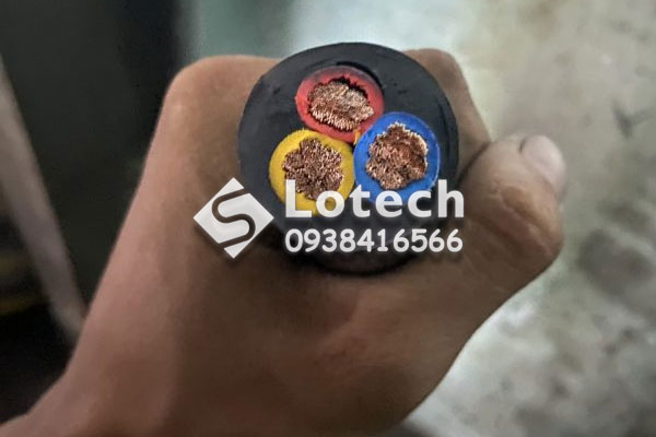 cau-tao-cap-cvv-thaloco Cấu tạo cáp CVV Thaloco