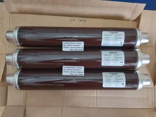 cau20chi20c3b4ng20trung20the2063a2024kv20schneider20tu20rmu_20jpg