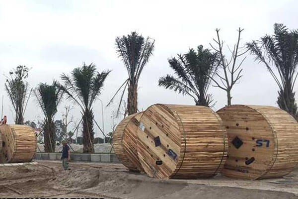 Đại lý cáp điện lực LS VINA