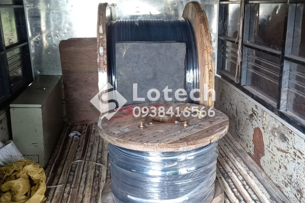 lotech-cap-dien-luc-chinh-hang-taya