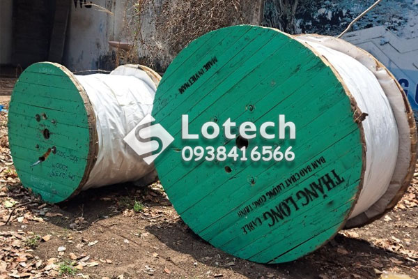 lotech-cung-cap-cap-dien-luc-thang-long Lotech cung cấp cáp điện lực Thăng Long