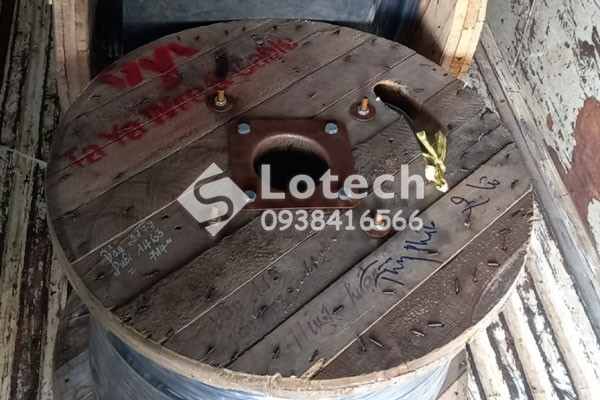 lotech-giao-hang-cap-taya